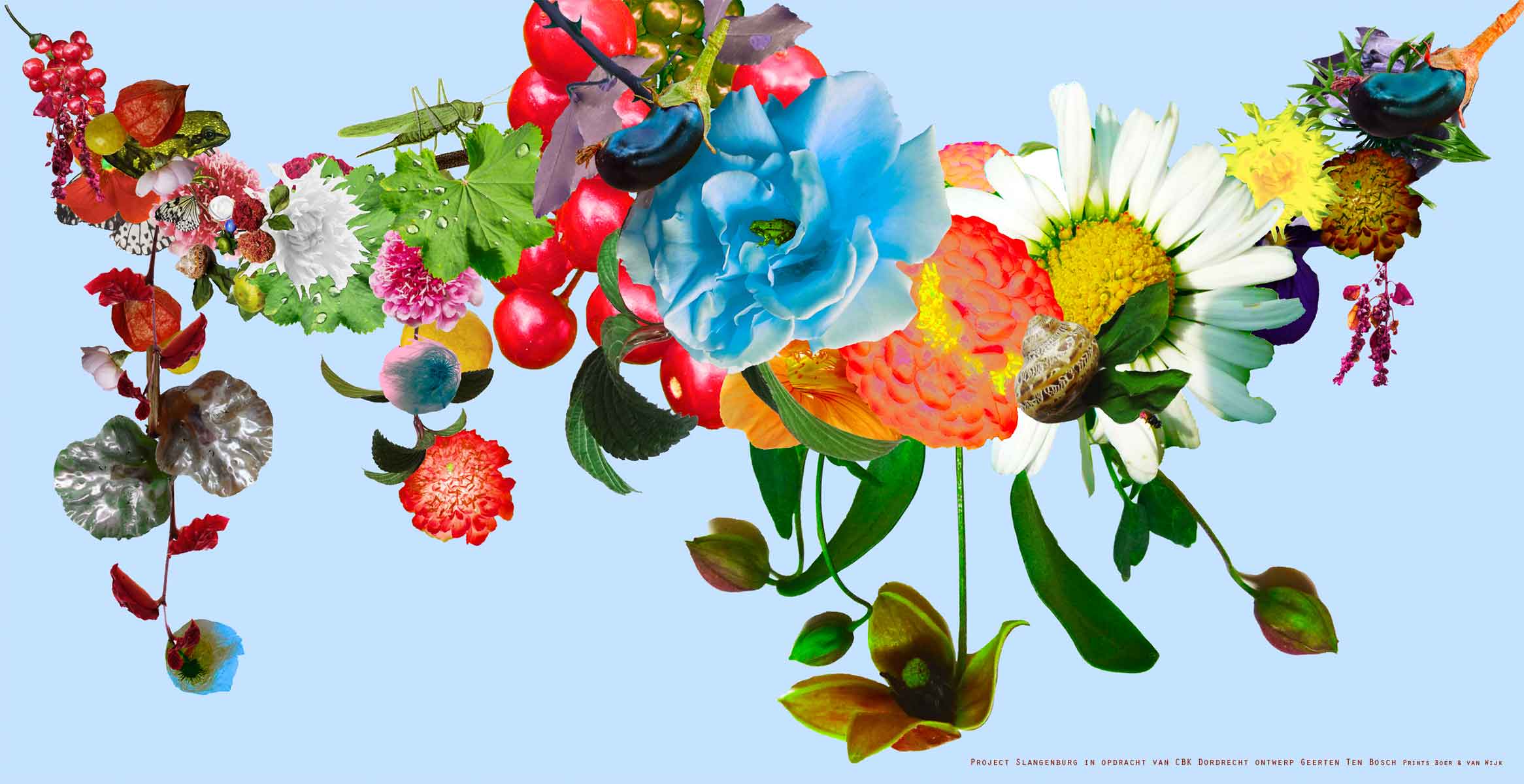 Geerten Ten Bosch, bloemen / flowers, 
                     , 