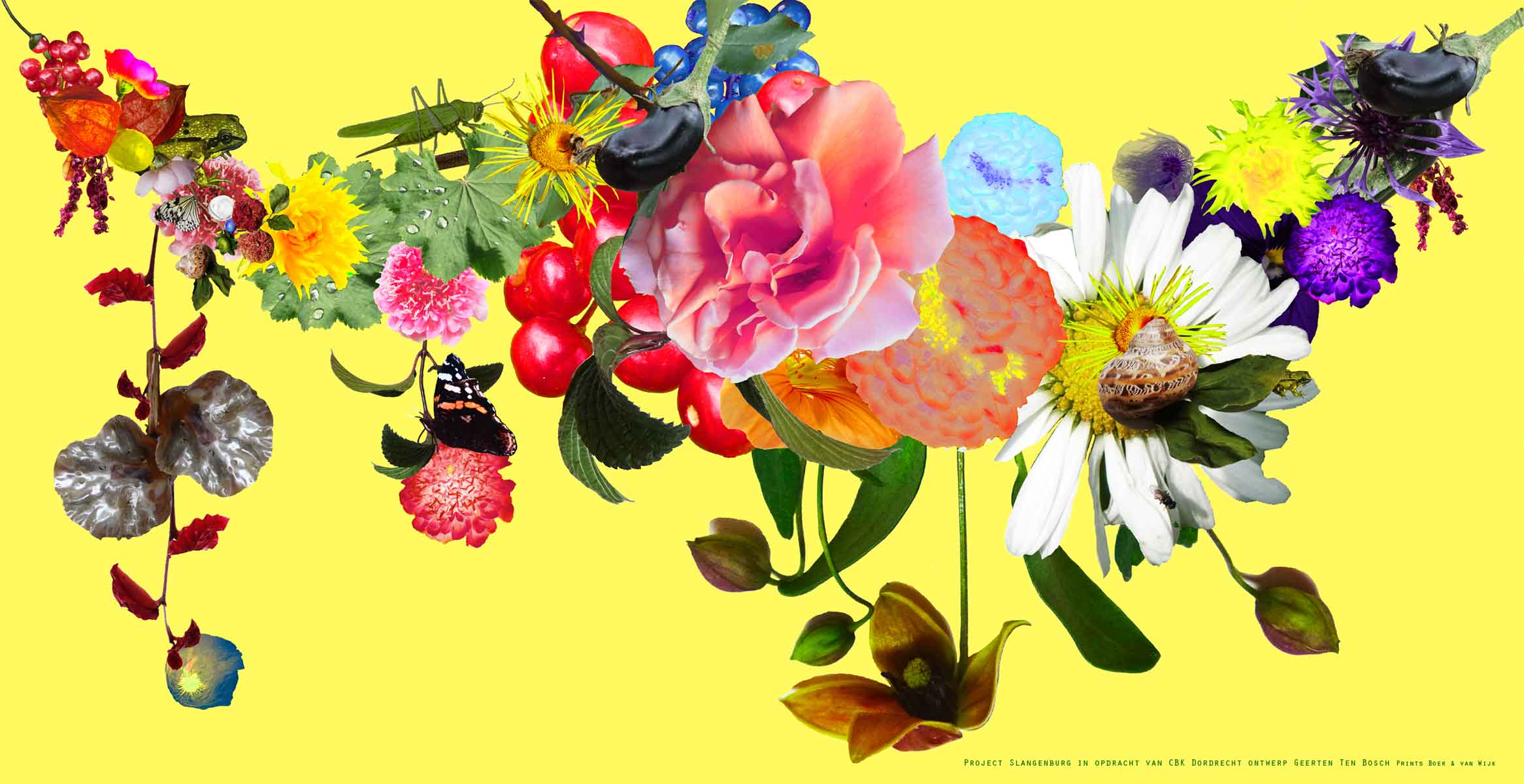 Geerten Ten Bosch, bloemen / flowers, 
                     , 