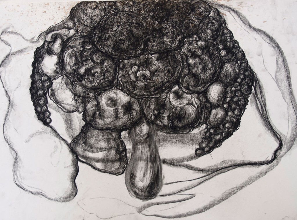 Geerten Ten Bosch, still lifes, 
                             , drawing, tekening, art, kunst