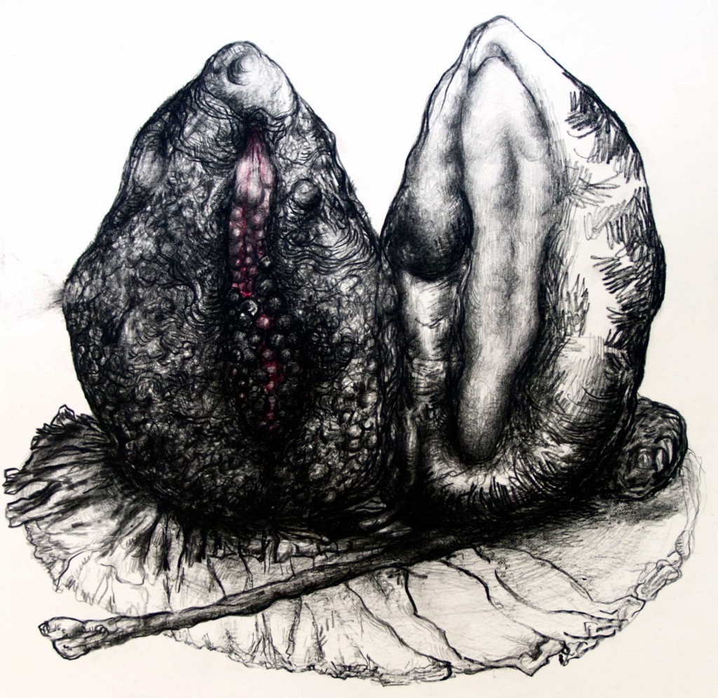Geerten Ten Bosch, still lifes, 
                             , 