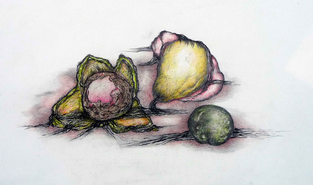 Geerten Ten Bosch, still lifes, 
                             , 