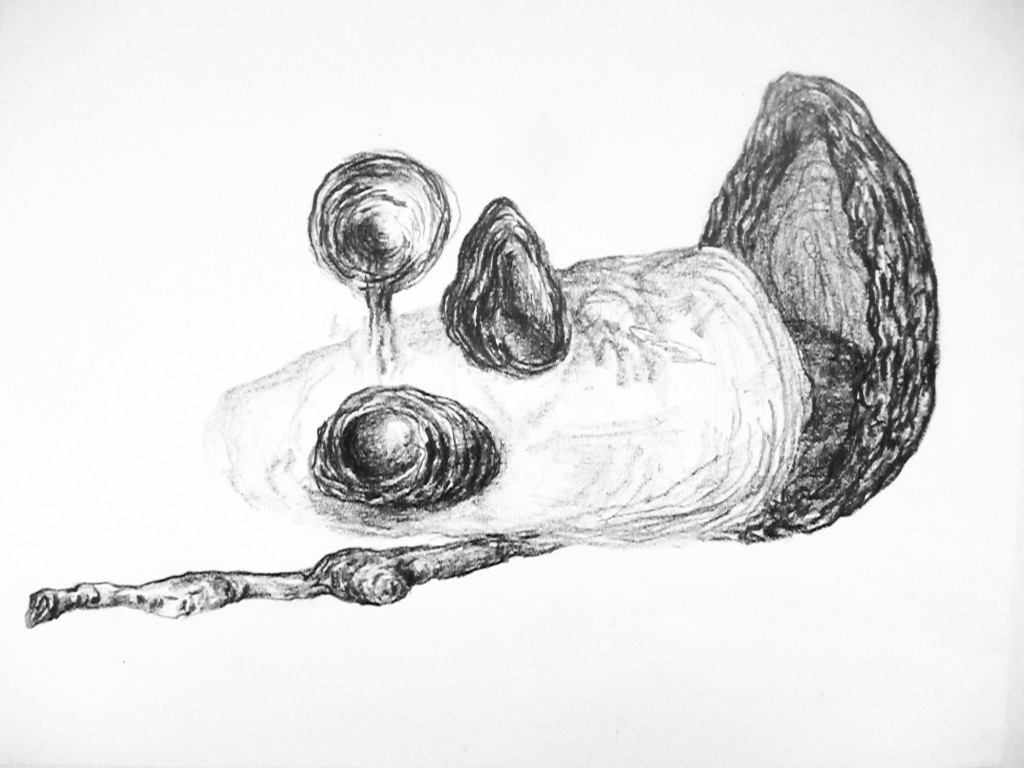 Geerten Ten Bosch, still lifes, 
                             , drawing, tekening, art, kunst